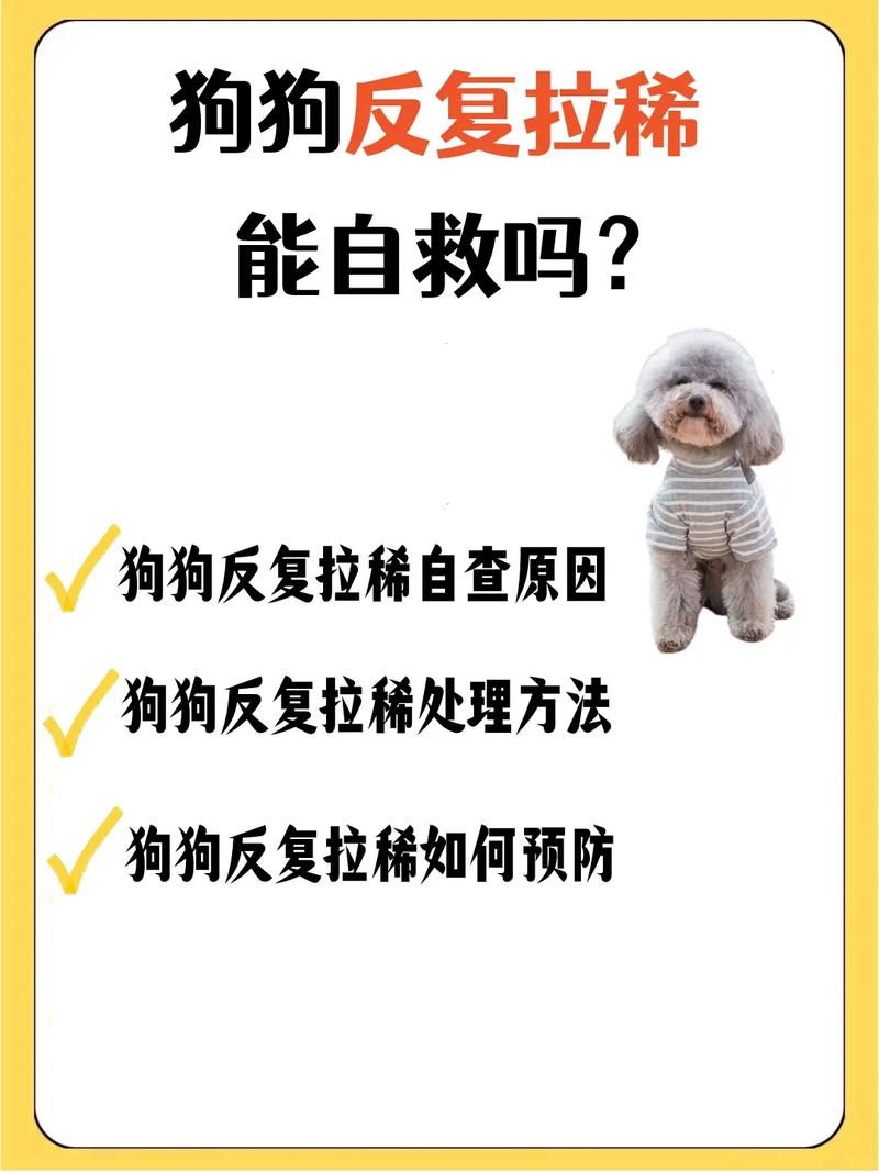 狗狗上吐下泻能自愈吗?