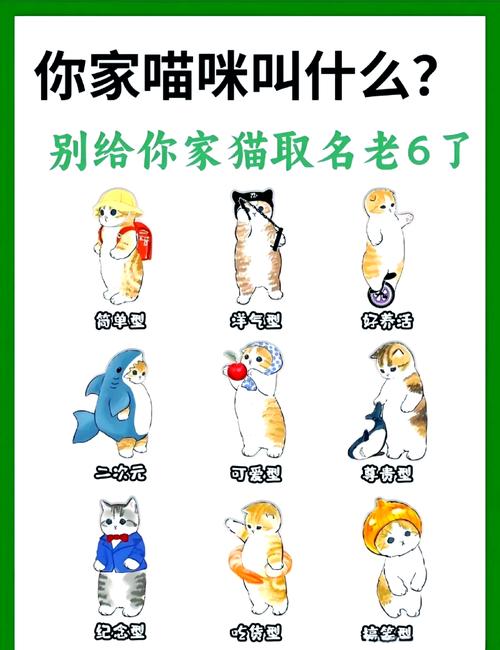 猫咪名字创意奇葩