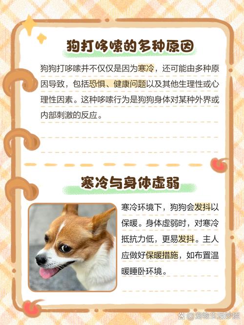 狗狗哆嗦发抖怎么办好