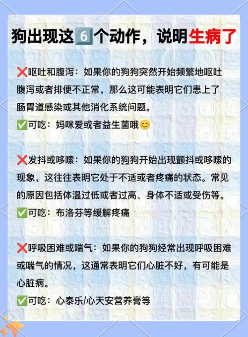 狗狗发抖怎么办