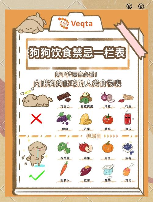 狗狗老了,吃什么食物比较好?