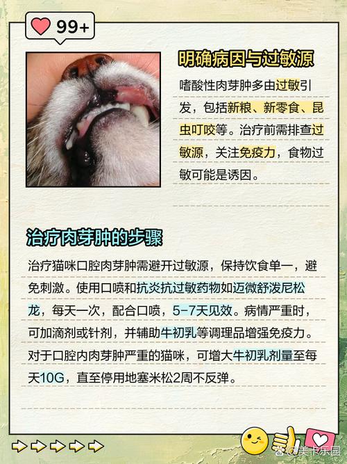 猫爪子肿了能自愈吗