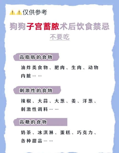 狗狗术后吃什么促进伤口愈合