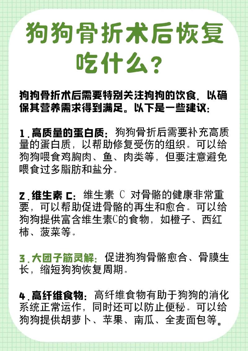 狗狗受伤了吃什么愈合快一点
