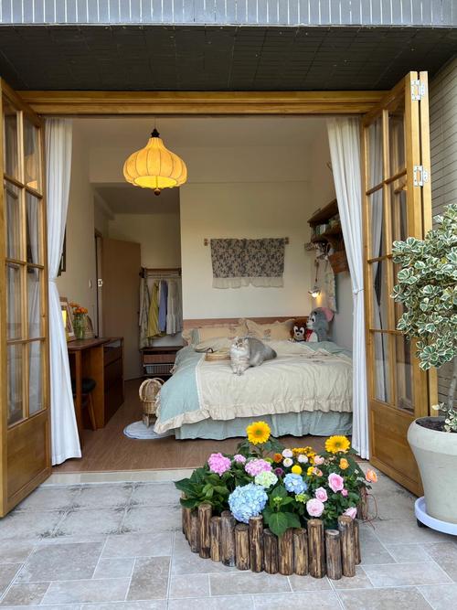 新手养猫必看!铲屎官能和猫咪一起睡觉吗