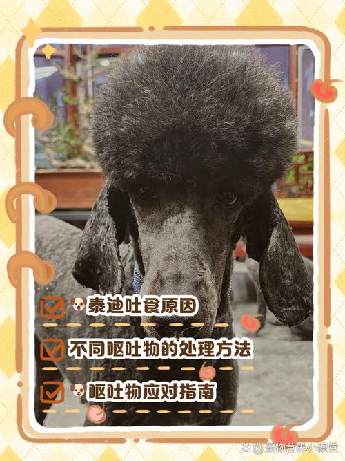 狗狗吃虾条对健康有哪些危害?