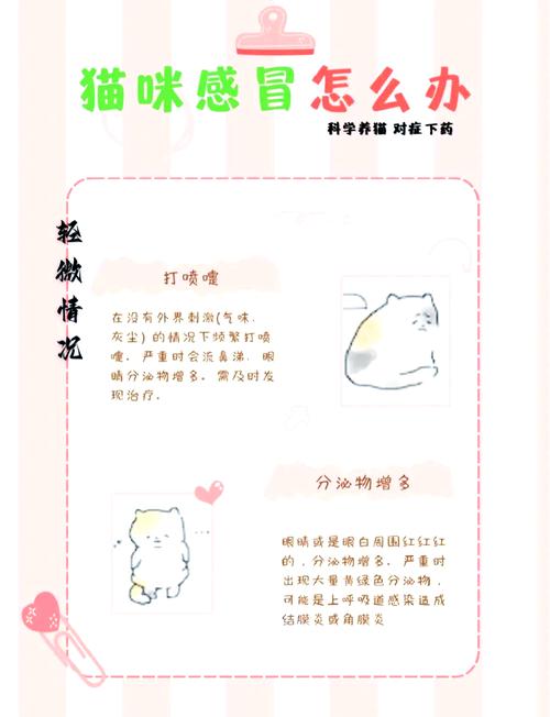 猫咪反复发烧不吃不喝怎么办