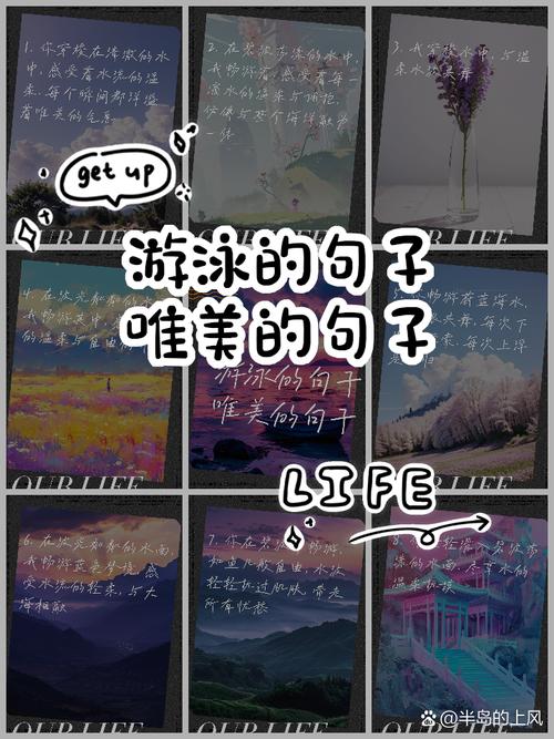 金毛幼犬什么时候可以洗澡