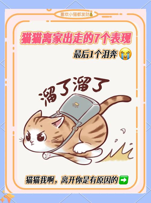 猫咪一直叫不停到处乱走是怎么回事