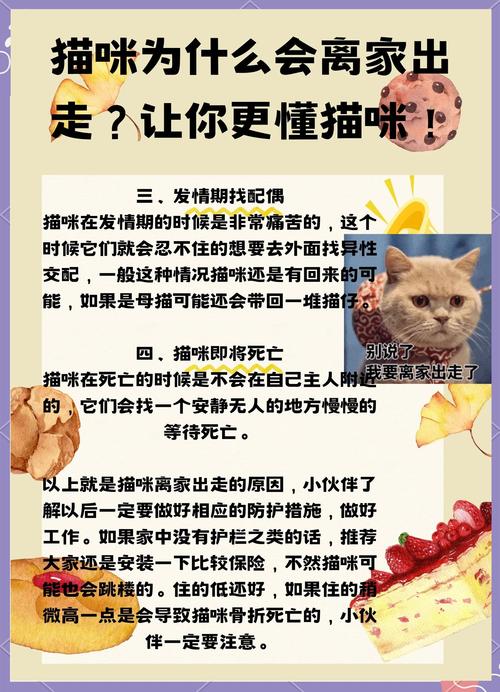猫咪在车上一直叫怎么办