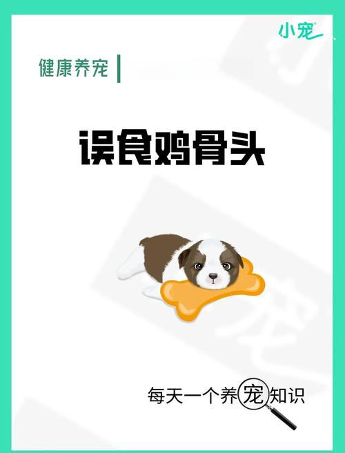 泰迪狗吃了鸡骨头怎么补救