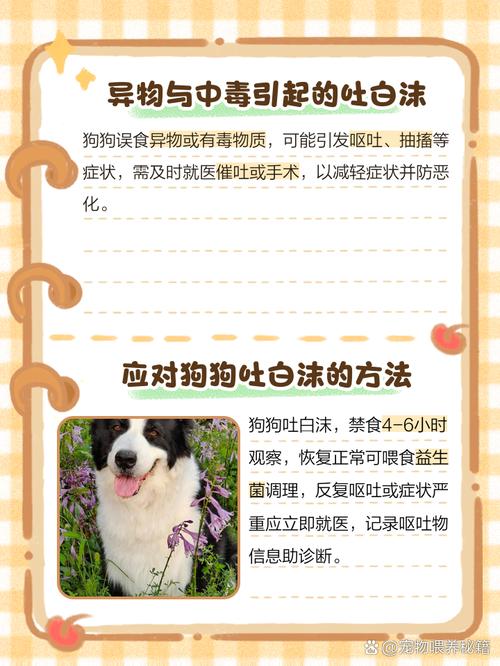 我家狗昨天吃鸡骨头,第二天就开始吐白沫,还带着血,怎么办?吃什么药...