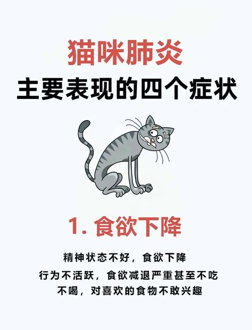 猫咪打喷嚏但是吃喝正常