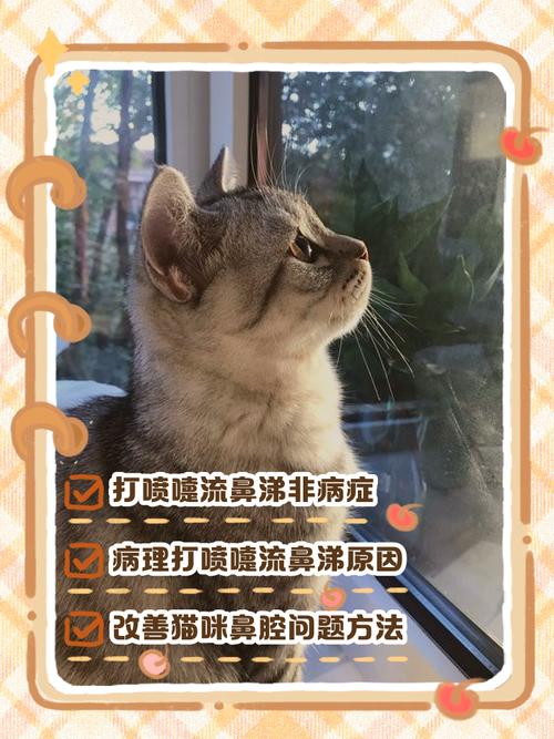小猫打喷嚏流鼻涕