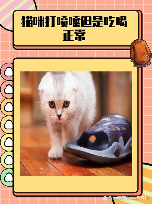猫咪打喷嚏流鼻涕但是吃喝正常怎么办