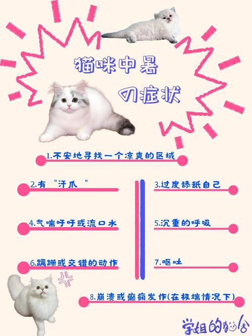 小猫发烧了如何退烧
