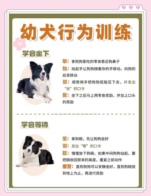 如何训练狗狗和孩子们一起玩不咬人