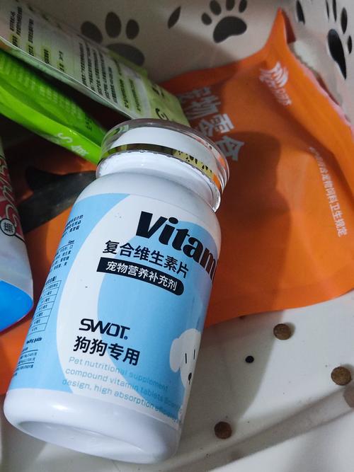 狗狗怀孕初期能吃鸡蛋吗