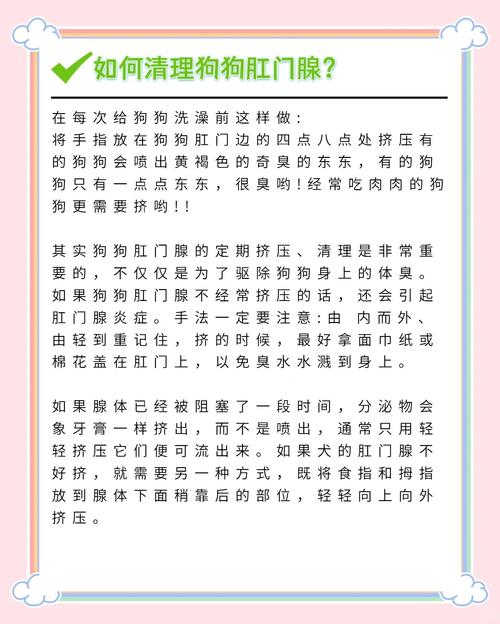 如何在家给狗狗清理肛门腺?