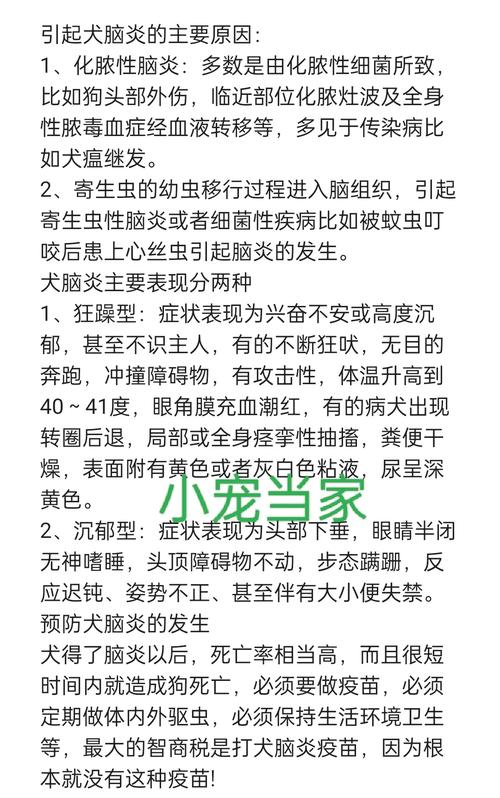狗狗得脑炎死前的征兆有哪些