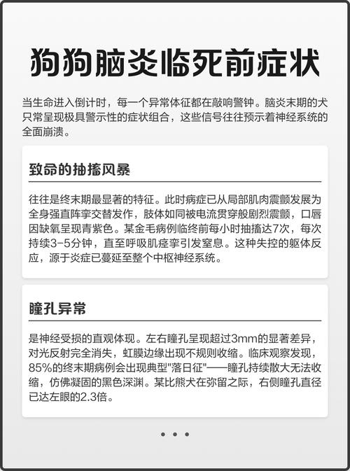 狗狗脑炎发作是什么症状?