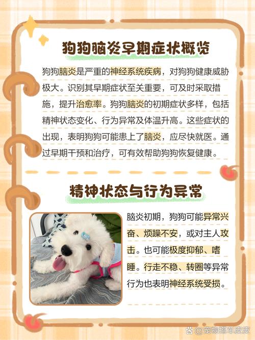 狗狗脑炎前期症状是什么样子的