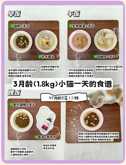 100种猫咪饮食速查表_乱投喂