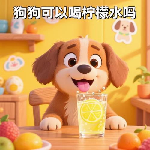 狗狗可以喝柠檬泡的水吗