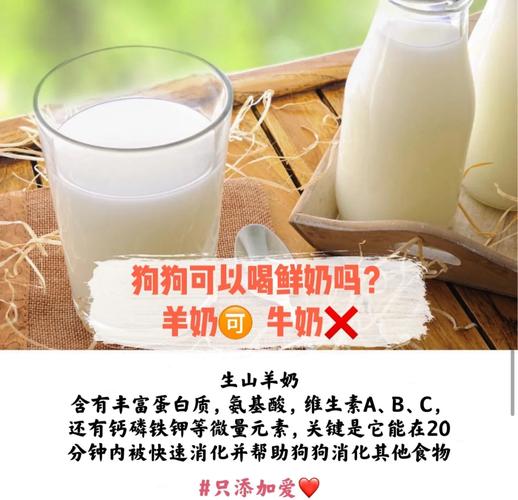 小狗能喝鲜牛奶吗?