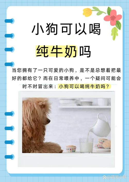 鲜牛奶狗狗可以喝吗