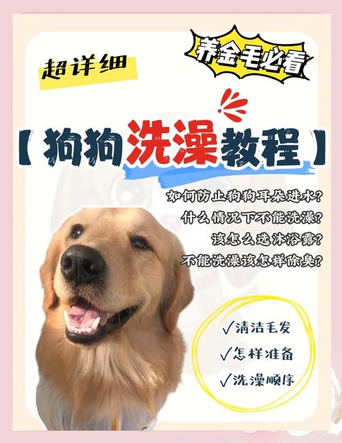 自己如何在家给狗狗洗澡