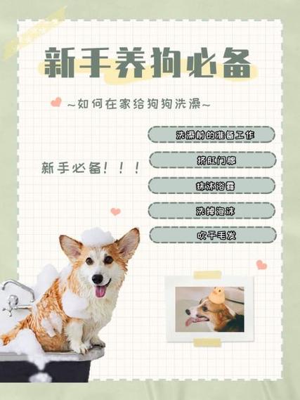 撺手里ta不香吗～|教你在家给洗澡