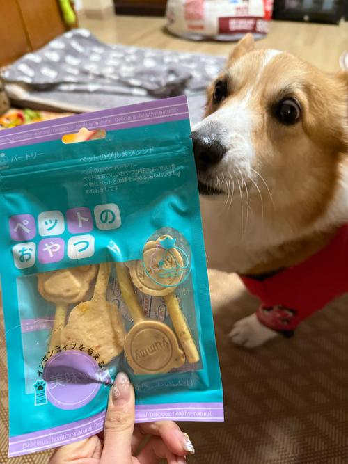 两个月的狗狗能吃什么零食