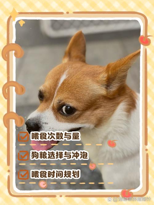 我家狗狗3个月特别爱喝牛奶。而且不拉稀。可以继续喂吗?