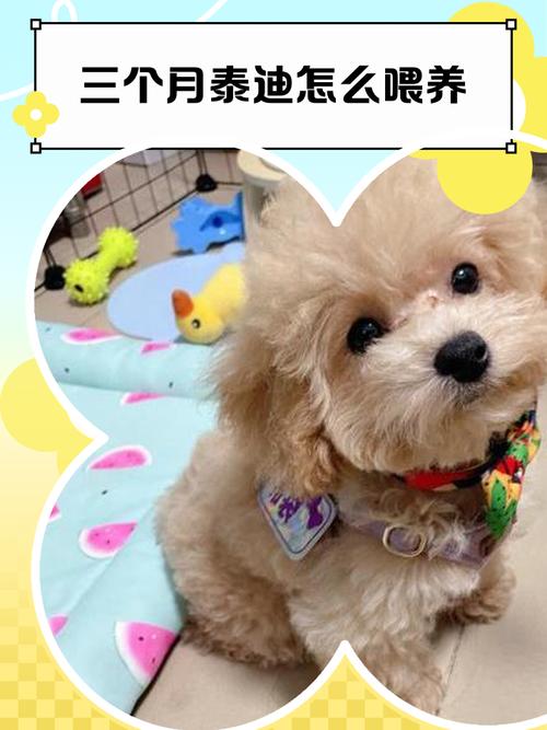 狗狗可以喝人喝的纯牛奶吗?