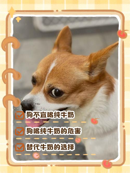 狗狗可以喝牛奶吗?!