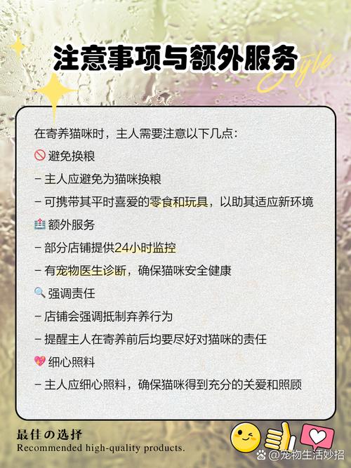 寄养猫咪一般怎么收费