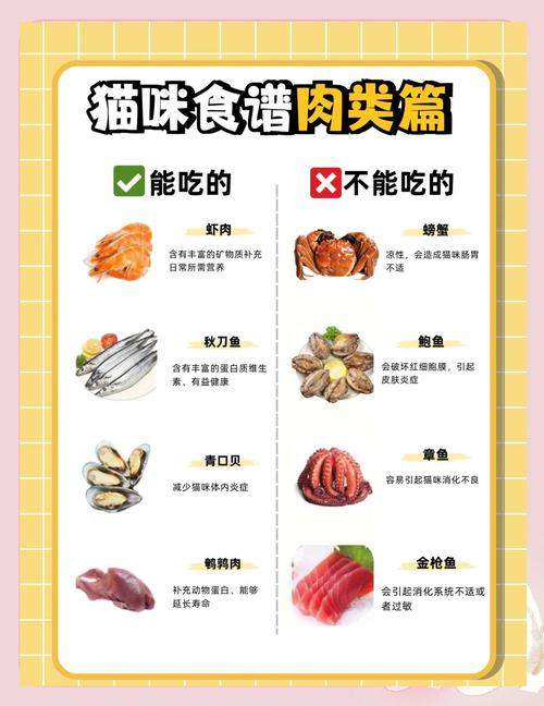 猫咪可以吃羊肉吗煮熟的?