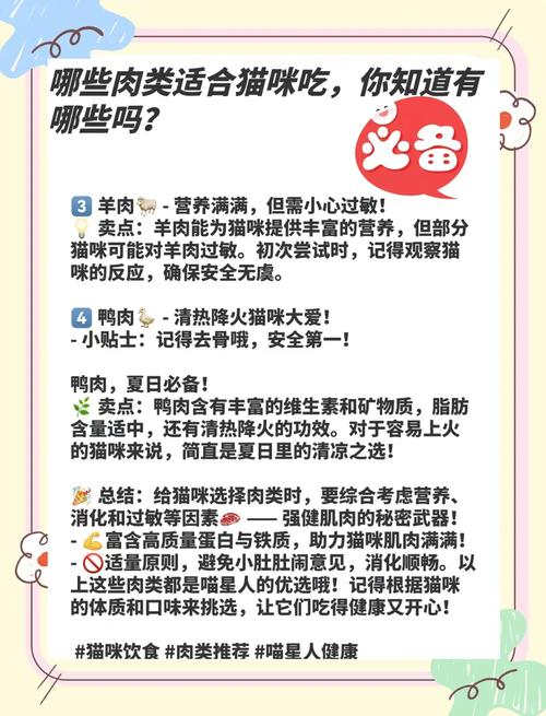 猫咪在什么情况下不宜吃羊肉?