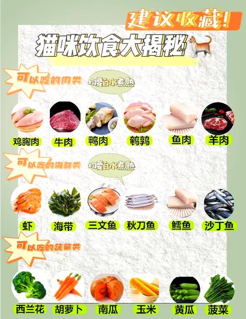 猫为啥不能吃羊肉