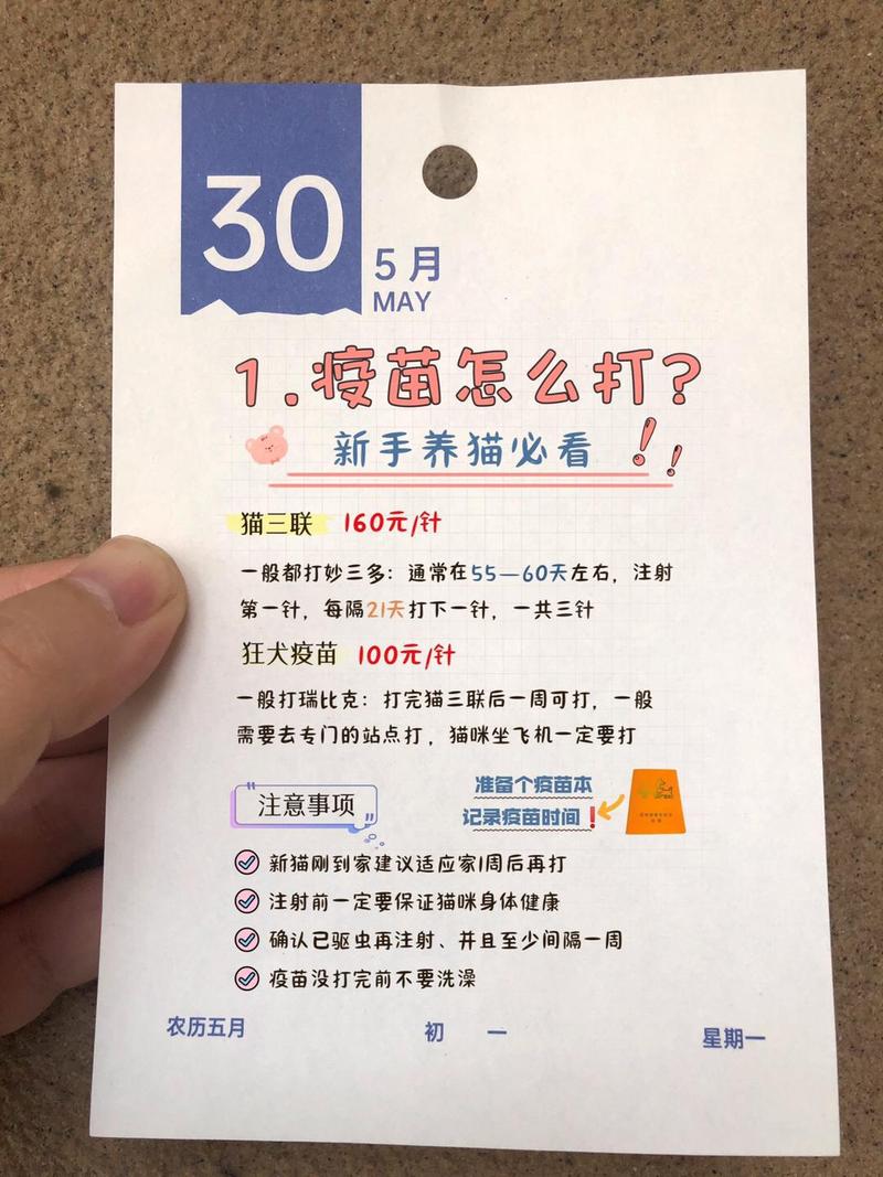 猫咪打疫苗需要多少钱