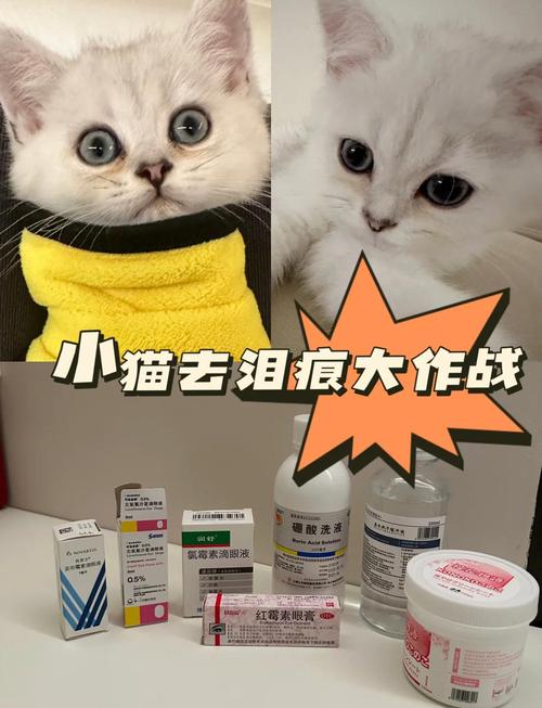 猫咪眼药水哪个牌子好