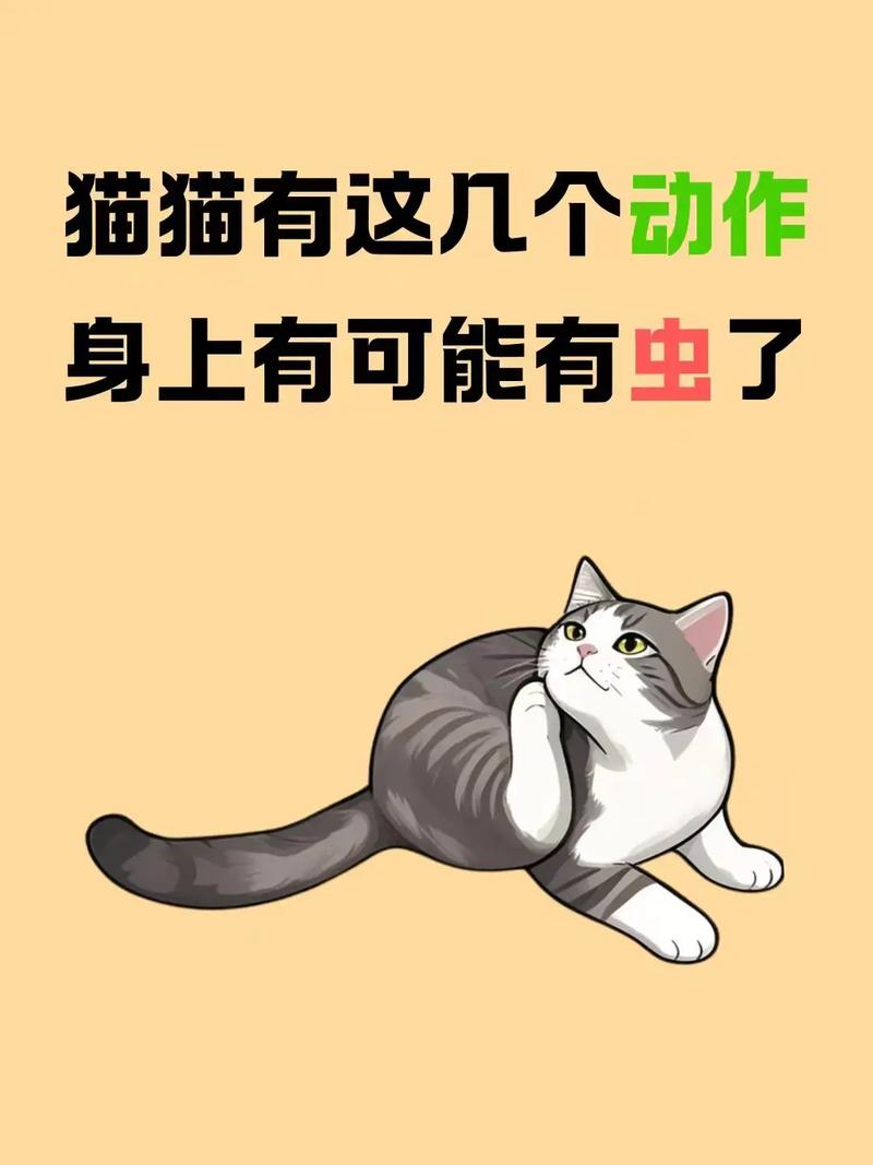 一只猫咪有这些现象,多半是肚子里有“虫”了,你家猫有吗
