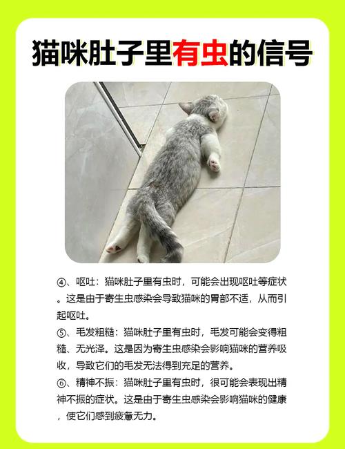 猫咪体内有虫子是什么症状