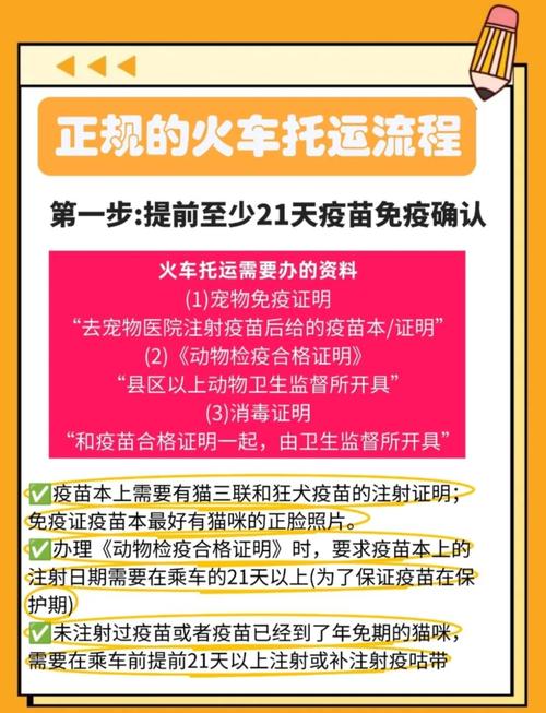 把猫咪带上火车过的了安检吗