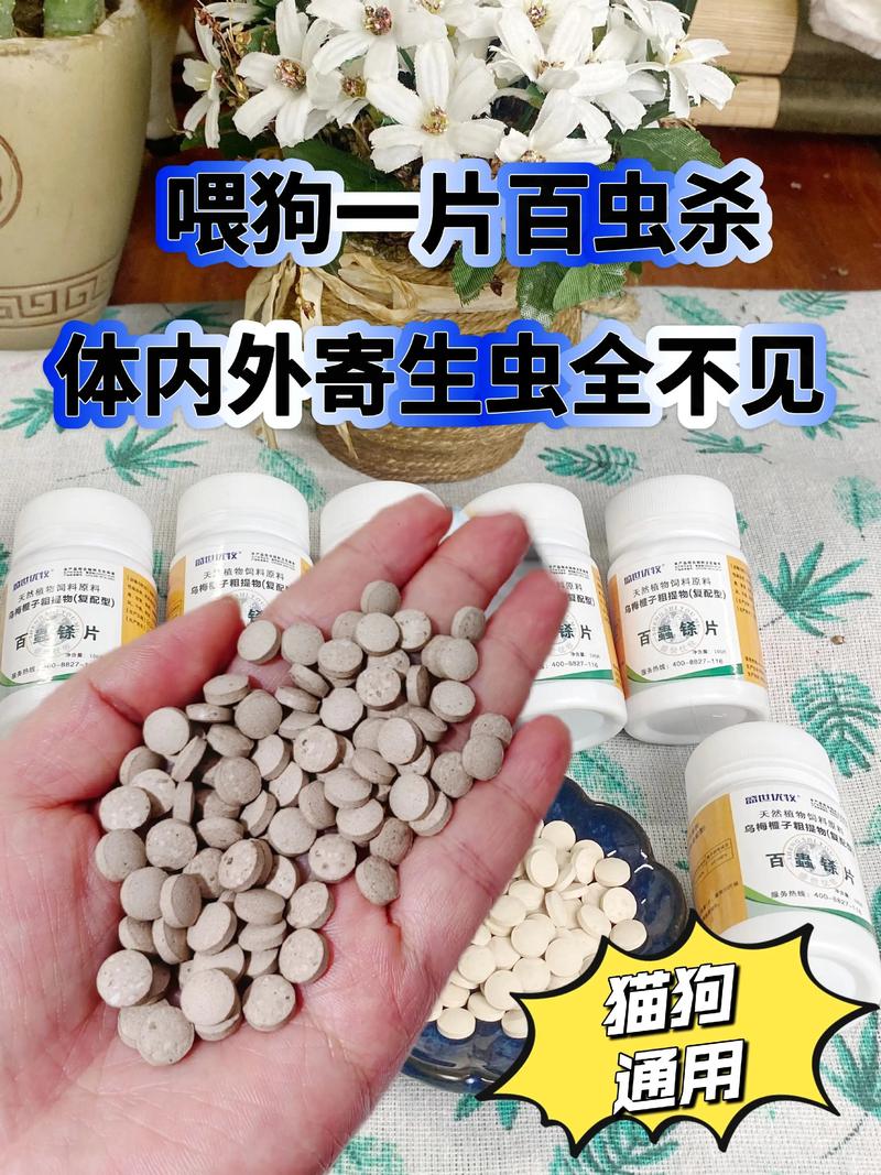 拜宠清驱虫药怎么吃?