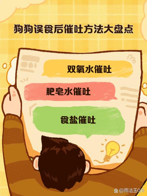 狗狗吃错东西怎么让它吐出来?