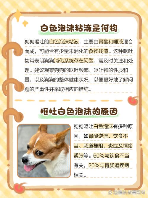 狗喝多少肥皂水才会吐