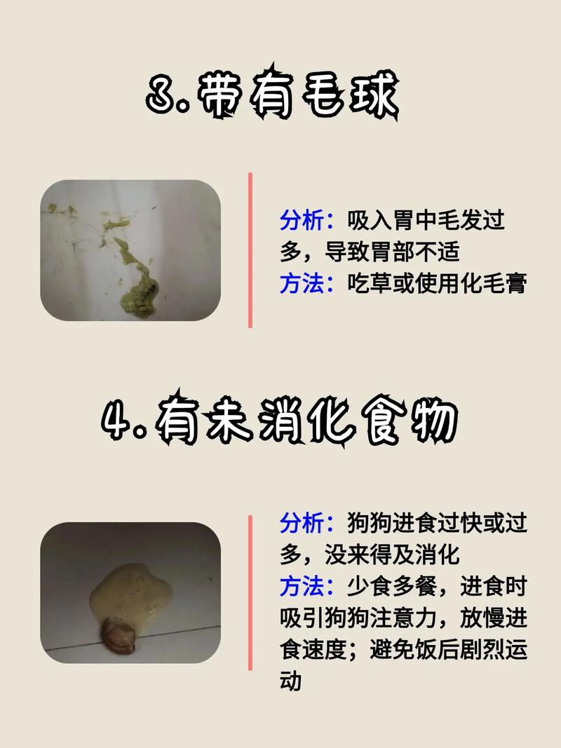 狗狗喝了肥皂水不吐