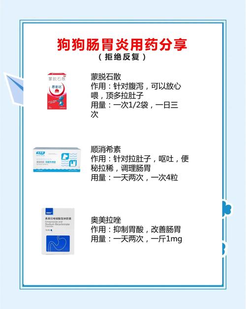狗狗急性肠胃炎用什么药?
